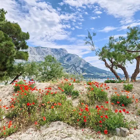 River Breeze * Omis