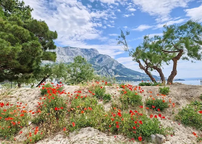River Breeze * Omiš